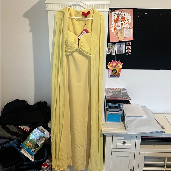 HALSTON Women's Alma Crepe with Georgette Gown - Picture 7 of 8